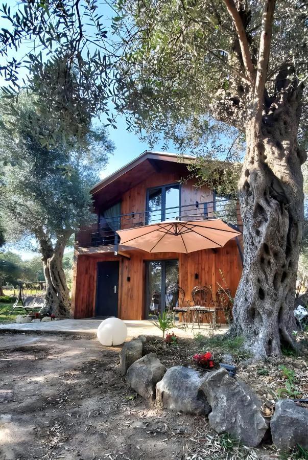 Coratina Cottage Улцин Екстериор снимка