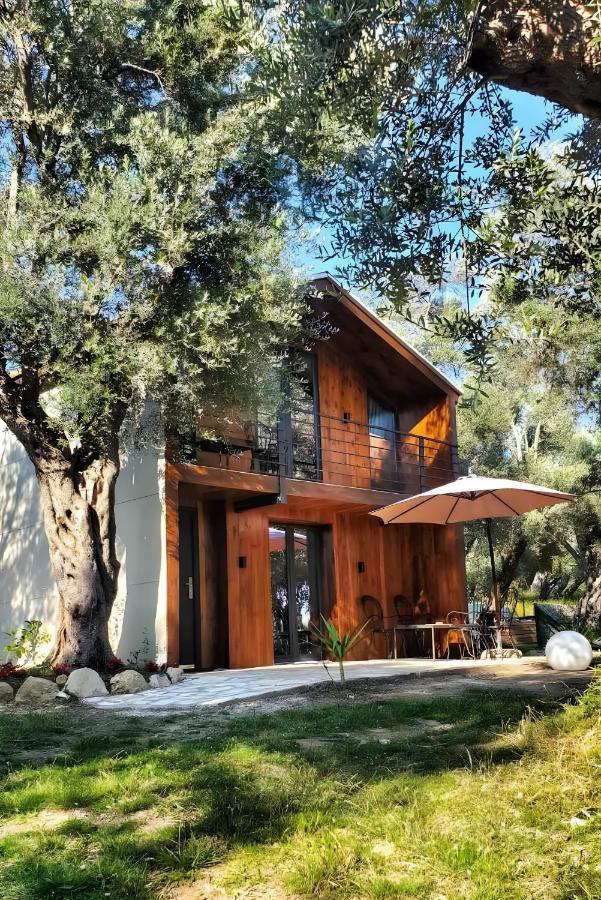 Coratina Cottage Улцин Екстериор снимка